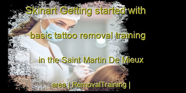 Skinart Getting started with basic tattoo removal training in the Saint Martin De Mieux area | RemovalTraining | RemovalClasses | SkinartTraining-France
